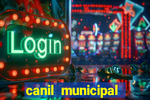 canil municipal porto alegre